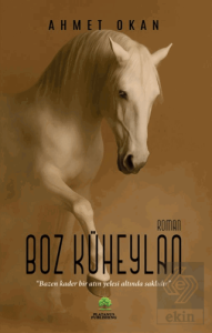 Boz Küheylan