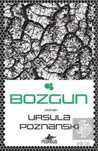 Bozgun