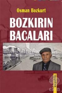 Bozkırın Bacaları