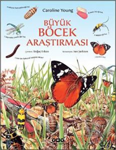 Büyük Böcek Araştırması