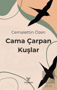 Cama Çarpan Kuşlar