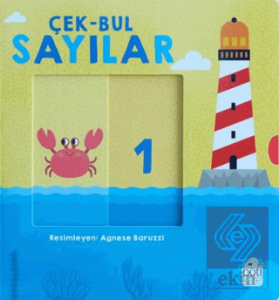 Çek-Bul Sayılar