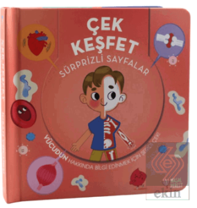 Çek Keşfet İnsan Vücudu