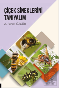 Çiçek Sineklerini Tanıyalım