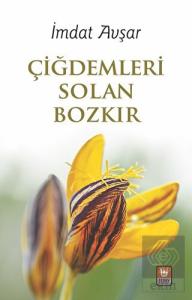 Çiğdemleri Solan Bozkır