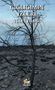 Çığlığımın İzleri