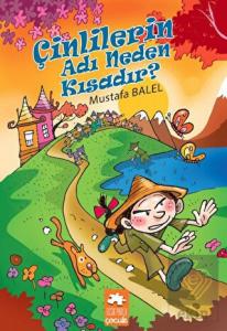 Çinlilerin Adı Neden Kısadır?