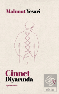 Cinnet Diyarında