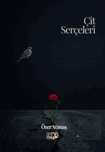 Çit Serçeleri