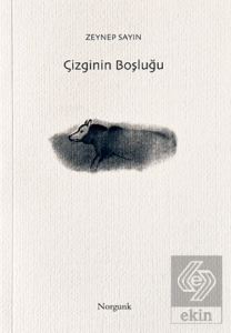 Çizginin Boşluğu