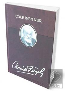 Çöle İnen Nur: 150 - Necip Fazıl Bütün Eserleri (D