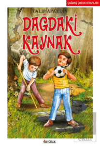 Dağdaki Kaynak