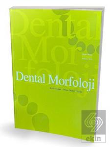Dental Morfoloji