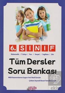 Dida Yayınları 6. Sınıf Tüm Dersler Soru Bankası