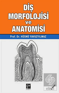 Diş Morfolojisi ve Anatomisi