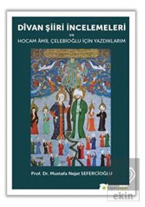 Divan Şiiri İncelemeleri ve Hocam Amil Çelebioğlu 