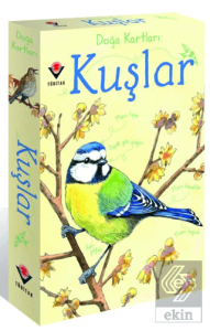 Doğa Kartları - Kuşlar