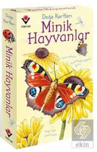 Doğa Kartları - Minik Hayvanlar