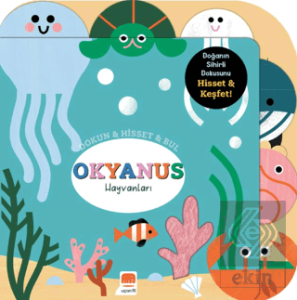 Dokun - Hisset - Bul Okyanus Hayvanları