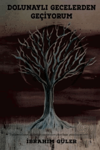 Dolunaylı Gecelerden Geçiyorum