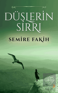 Düşlerin Sırrı