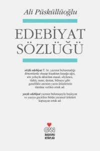 Edebiyat Sözlüğü