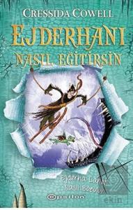 Ejderha Laneti Nasıl Bozulur - Ejderhanı Nasıl Eği