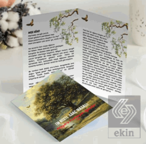 En Güzel Ağaç Masalı Rüzgara Fısıldayan Ağaçlar 1