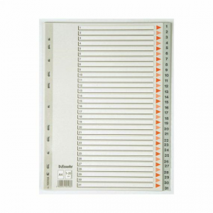 EsselteSeperatör A4 Aylar Gri