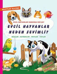 Evcil Hayvanlar Neden Sevimli?