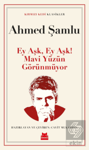 Ey Aşk, Ey Aşk! Mavi Yüzün Görünmüyor