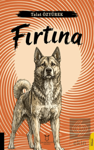 Fırtına