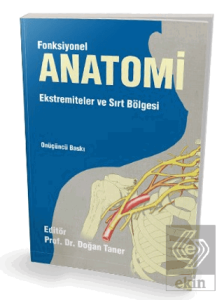 Fonksiyonel Anatomi Ekstremiteler ve Sırt Bölgesi