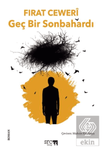 Geç Bir Sonbahardı