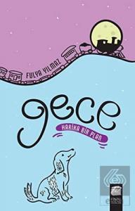 Gece - Harika Bir Plan