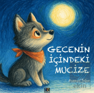 Gecenin İçindeki Mucize