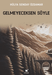 Gelmeyeceksen Söyle