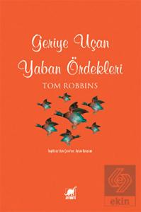 Geriye Uçan Yaban Ördekleri