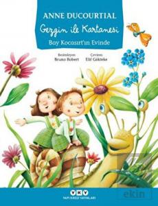 Gezgin İle Kartanesi Bay Kocasırt'ın Evinde