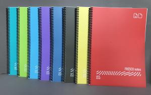 Gıpta FRESCO SP. DÜZ PP DEFTER A4 96YP KARELİ