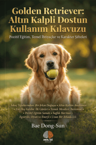 Golden Retriever: Altın Kalpli Dostun Kullanım Kılavuzu
