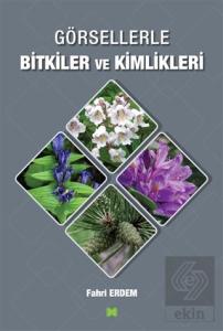 Görsellerle Bitkiler ve Kimlikleri