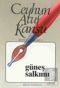 Güneş Salkımı Bütün Eserleri 1