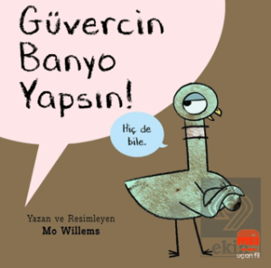 Güvercin Banyo Yapsın!