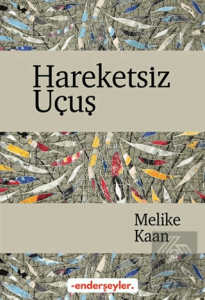 Hareketsiz Uçuş