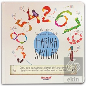 Harika Sayılar (Kapakçıklı)