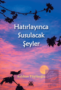 Hatırlayınca Susulacak Şeyler