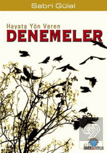 Hayata Yön Veren Denemeler