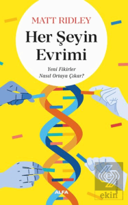 Her Şeyin Evrimi