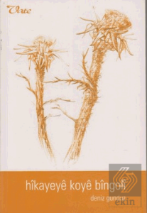 Hikayeye Koye Bingoli